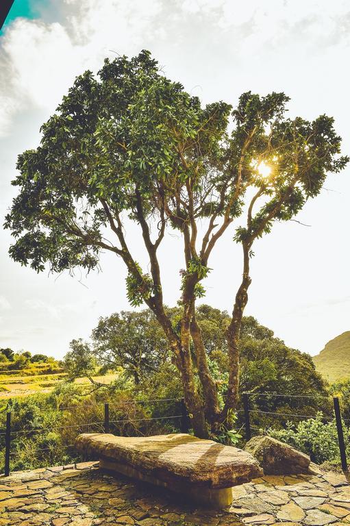 Mountain Villa Riverston Matale Esterno foto